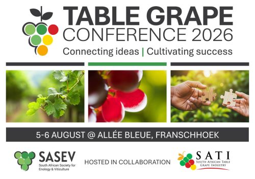 Web Banner Tgc2026 Rgb